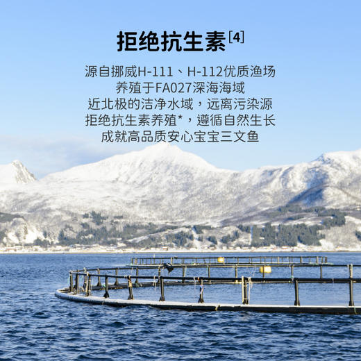 【萌小丸】挪威三文鱼 商品图4