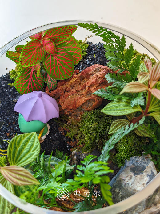 圆形微景观 商品图2