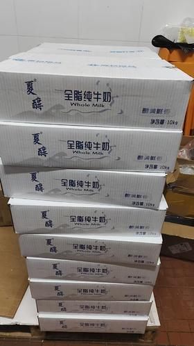 全脂牛奶10KG*1箱