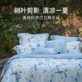 馨亭 普罗梅斯天丝四 件套240cm/220cm