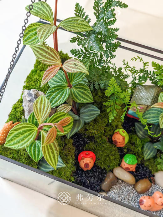 微景观 商品图2