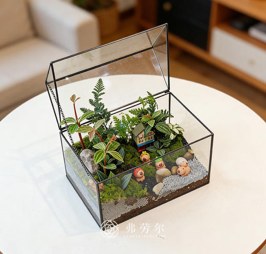 微景观 商品图4