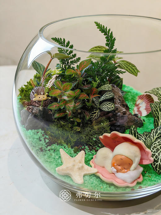 圆形微景观 商品图2