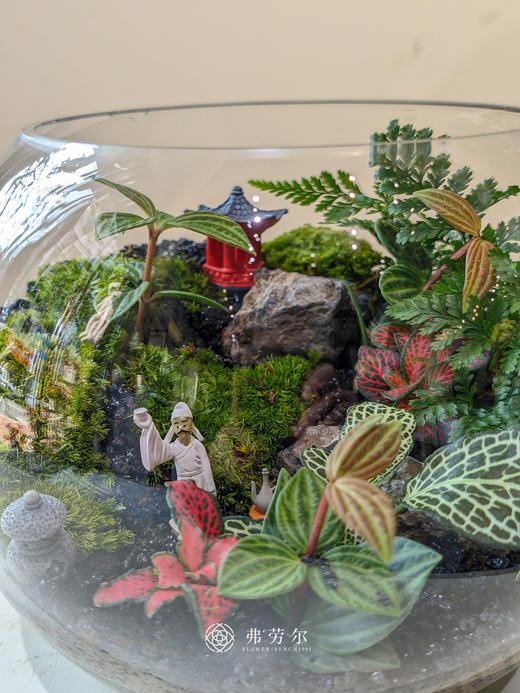 圆形微景观 商品图2