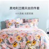 馨亭 桑妮弗天丝四 件套 240cm/220cm 商品缩略图0