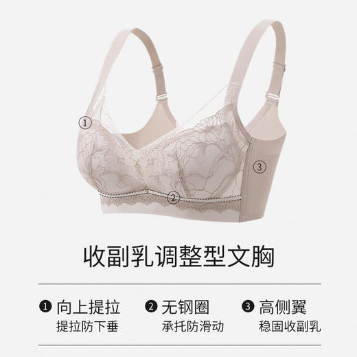 皇家丽美内衣女小胸聚拢2026新款爆款无痕收副乳防下垂性感蕾丝文胸WJ956-1 商品图1