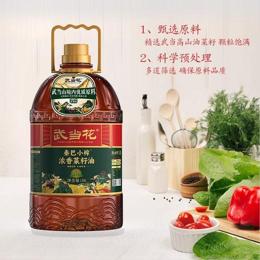 【湖北安舜食品公司】武当花秦巴小榨浓香菜籽油 5L/壶 商品图0