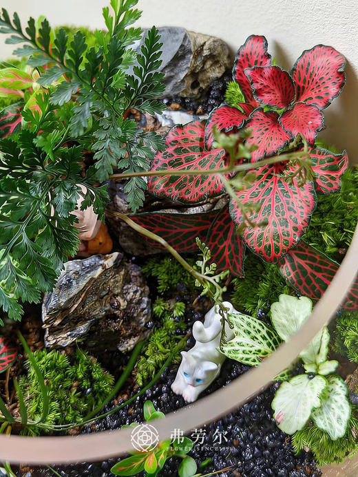 圆形微景观 商品图1