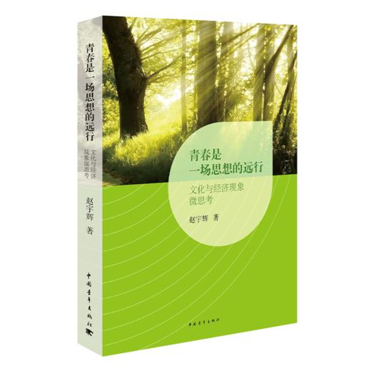 青春是一场思想的远行：文化与经济现象微思考 赵宇辉著 中国青年出版社 商品图2