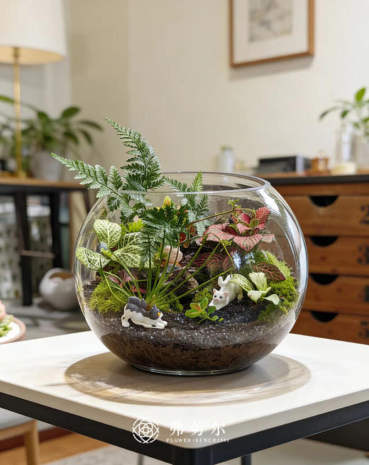 圆形微景观 商品图0