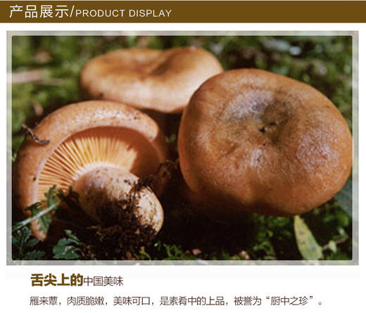 雁来蕈200g 商品图2