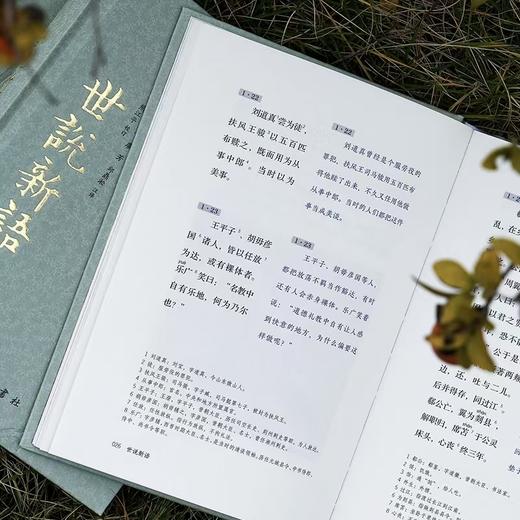 全本全注全译全彩图本：《世说新语》（精装·全三册） 商品图6