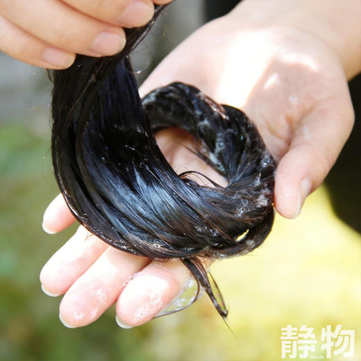 茶籽植物洗发水220ml｜明树堂 商品图3