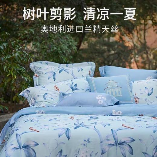 馨亭普罗梅斯天丝四 件套 203cm*230cm 商品图0