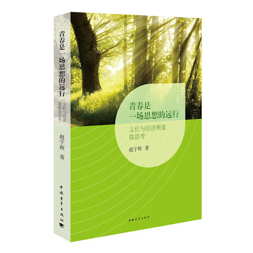 青春是一场思想的远行：文化与经济现象微思考 赵宇辉著 中国青年出版社 商品图1