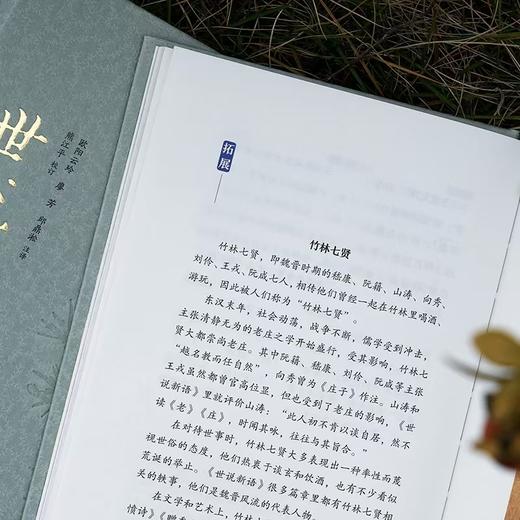 全本全注全译全彩图本：《世说新语》（精装·全三册） 商品图5