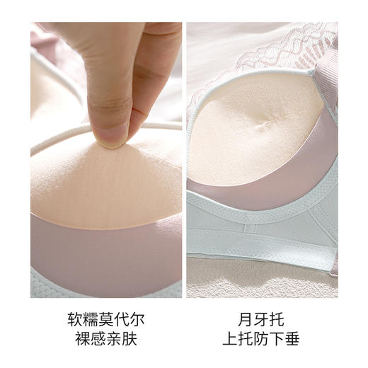 皇家丽美小胸显大聚拢上托无钢圈2026新款调整型文胸中厚杯收副乳内衣WW957-2 商品图4