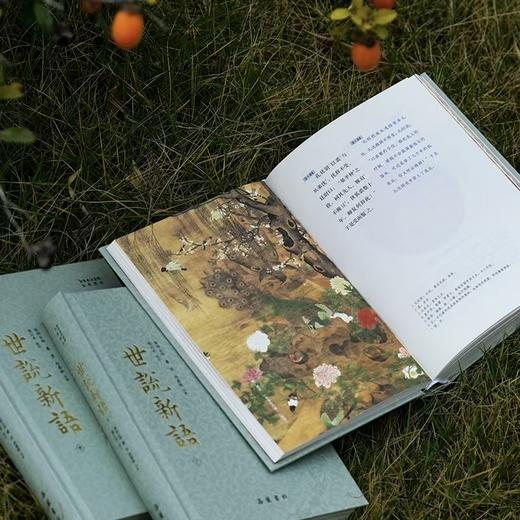 全本全注全译全彩图本：《世说新语》（精装·全三册） 商品图2