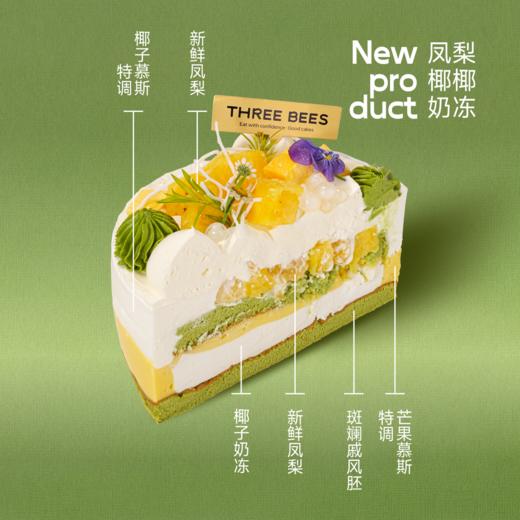 凤梨椰椰 商品图1