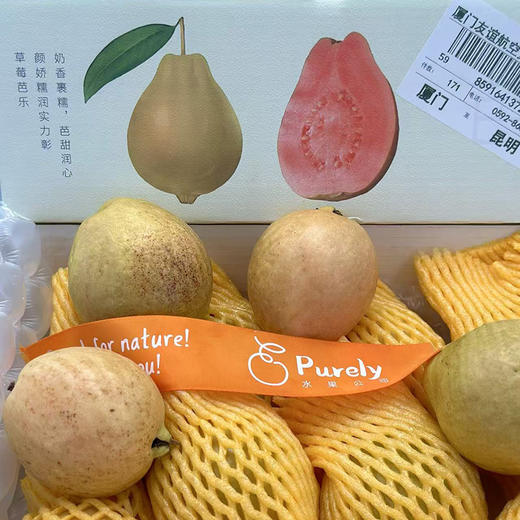 福建·「南食记」空运 红芯芭乐 整件 约2.25kg 商品图4