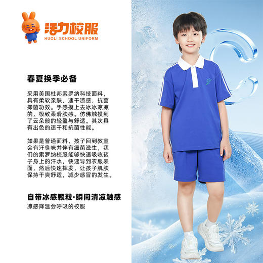 【深色】深圳小学夏季运动服升级版、高级版、特级版 商品图3