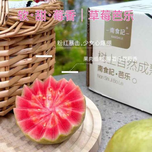 福建·「南食记」空运 红芯芭乐 整件 约2.25kg 商品图7