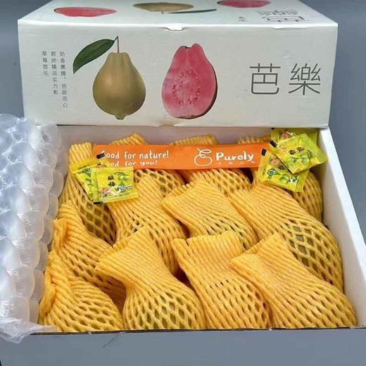 福建·「南食记」空运 红芯芭乐 整件 约2.25kg 商品图5