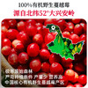 可益康有机野生蔓越莓原浆30ml*7袋/盒 商品缩略图1