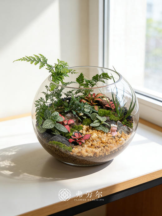 圆形微景观 商品图0