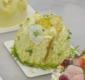 柠檬多多 商品图0