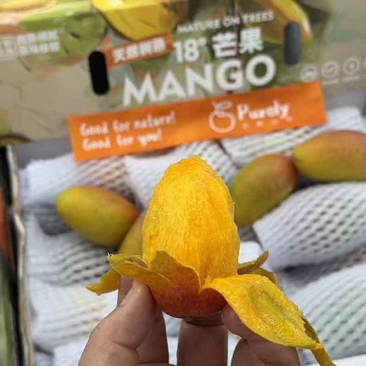 海南树熟18°「小贵妃芒」整件 约2~2.1kg 商品图5
