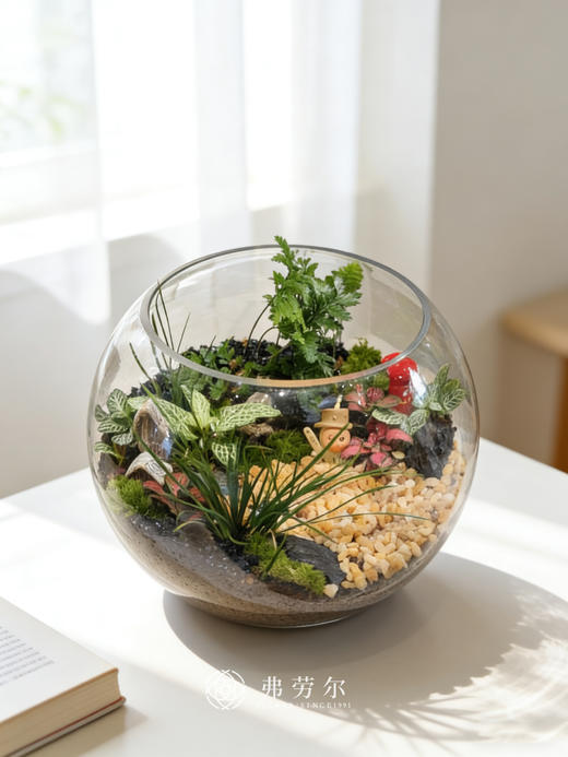 圆形微景观 商品图2