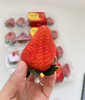 云南怡颗莓素颜草莓🍓果香浓郁，自然好味道😋 商品缩略图4