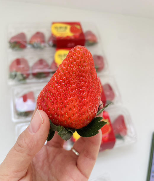 云南怡颗莓素颜草莓🍓果香浓郁，自然好味道😋 商品图4