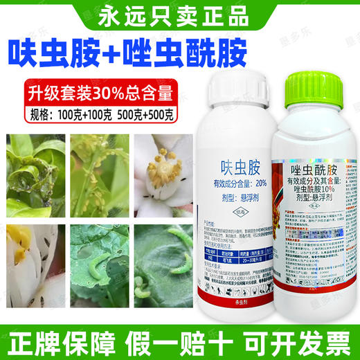 呋虫胺唑虫酰胺套餐蚨虫20%肤虫安果树杀虫农药组合杀虫剂正品 商品图3