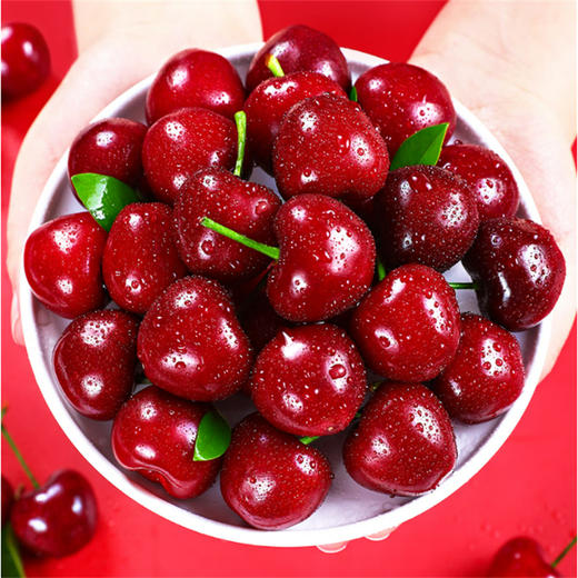 大连大樱桃（精选美早） 商品图6