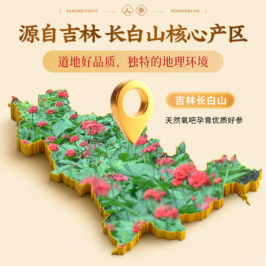 康美药业人参片礼盒100g/盒 吉林长白山人参大切片泡水煲汤送礼赠送礼袋 商品图5