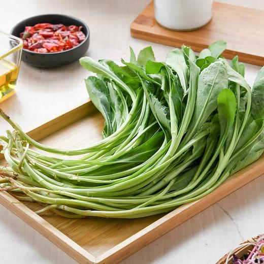 红花苗200g 商品图2