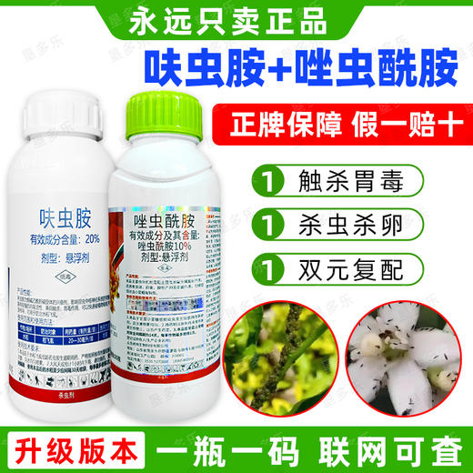 呋虫胺唑虫酰胺套餐蚨虫20%肤虫安果树杀虫农药组合杀虫剂正品 商品图0