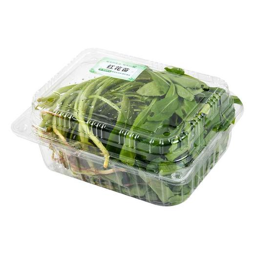 红花苗200g 商品图1