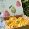 福建·「南食记」空运 红芯芭乐 整件 约2.25kg 商品缩略图0