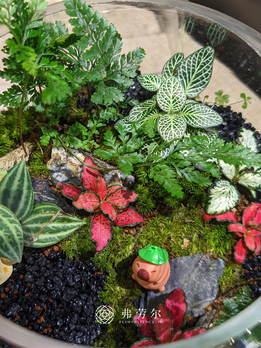 圆形微景观 商品图4