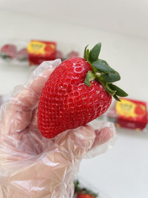 云南怡颗莓素颜草莓🍓果香浓郁，自然好味道😋 商品图3