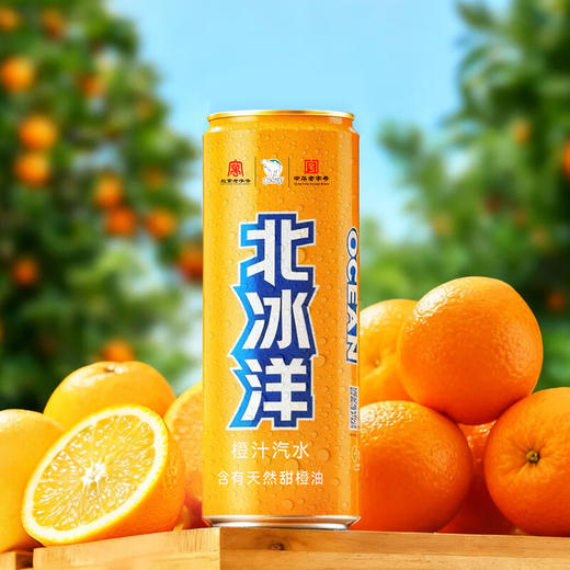 【秒杀】北冰洋橙汁汽水330ml 商品图0