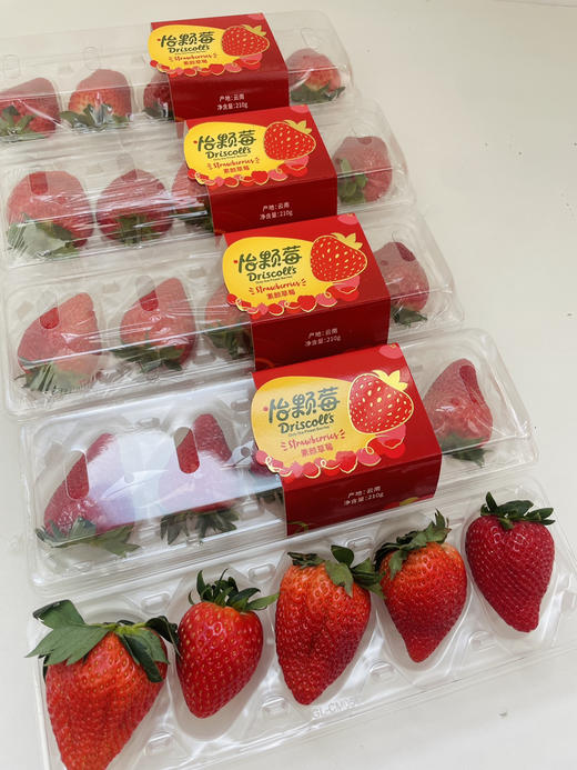 云南怡颗莓素颜草莓🍓果香浓郁，自然好味道😋 商品图5