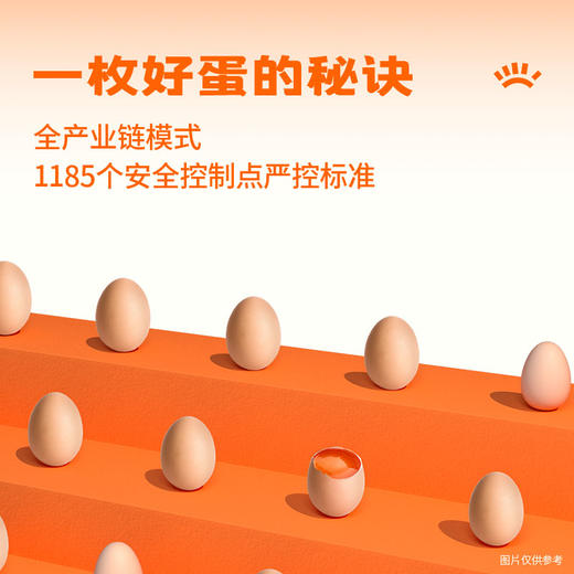 【减醇蛋30枚&12盒周期购】减胆固醇营养蛋30枚/盒电商装 商品图7