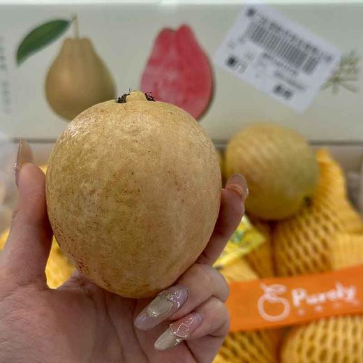 福建·「南食记」空运 红芯芭乐 整件 约2.25kg 商品图3