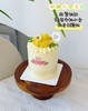 3英寸椰椰凤梨（直径8cm，只够一人食用） 商品缩略图0