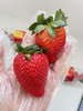 云南怡颗莓素颜草莓🍓果香浓郁，自然好味道😋 商品缩略图0