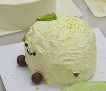 柠檬宝宝 商品图0